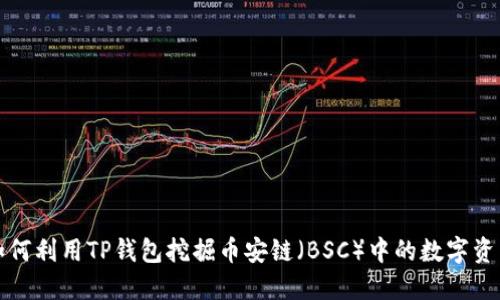 如何利用TP钱包挖掘币安链（BSC）中的数字资产