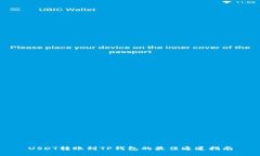 USDT转账到TP钱包的最佳通道指南