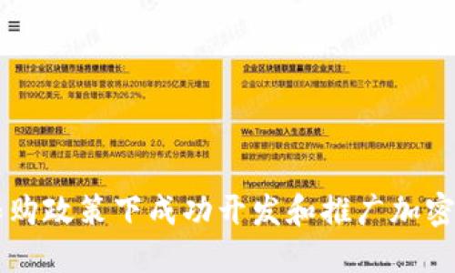 如何在限购政策下成功开发和推广加密货币项目