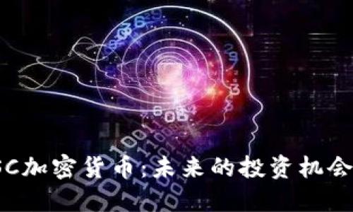 探索SSC加密货币：未来的投资机会与挑战