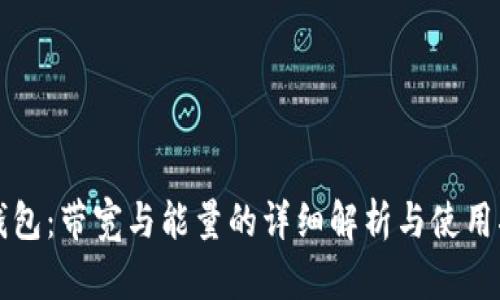 TP钱包：带宽与能量的详细解析与使用指南