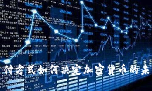 支付支付方式如何决定加密货币的未来发展
