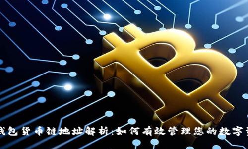 TP钱包货币链地址解析：如何有效管理您的数字资产