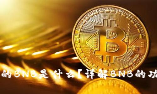 TP钱包中的BNB是什么？详解BNB的功能与应用