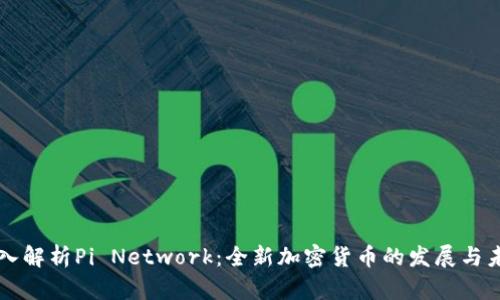 深入解析Pi Network：全新加密货币的发展与未来