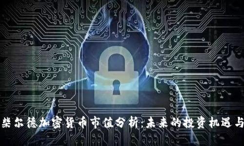罗斯柴尔德加密货币市值分析:未来的投资机遇与风险
