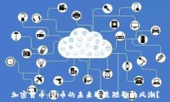  加密货币：货币的未来还是短暂的风