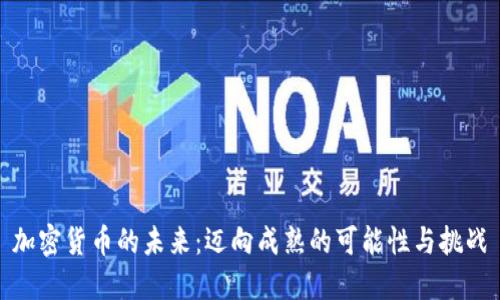 加密货币的未来：迈向成熟的可能性与挑战