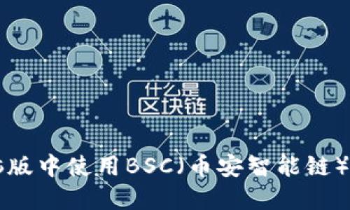 如何在TP钱包电脑版中使用BSC（币安智能链）及其相关功能指南