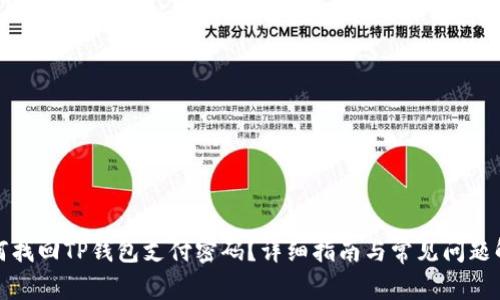 如何找回TP钱包支付密码？详细指南与常见问题解答