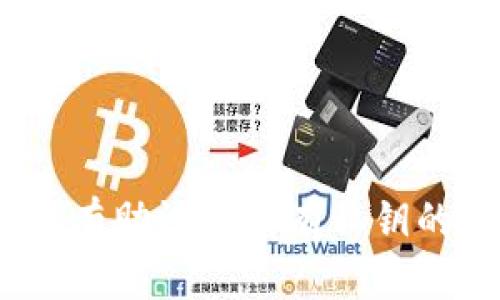 最全解析：TP钱包没有助记词但有私钥的安全性与使用指南