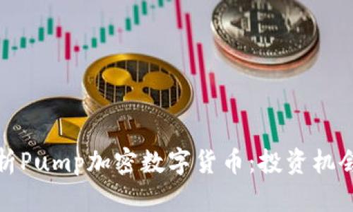 深入解析Pump加密数字货币：投资机会与风险